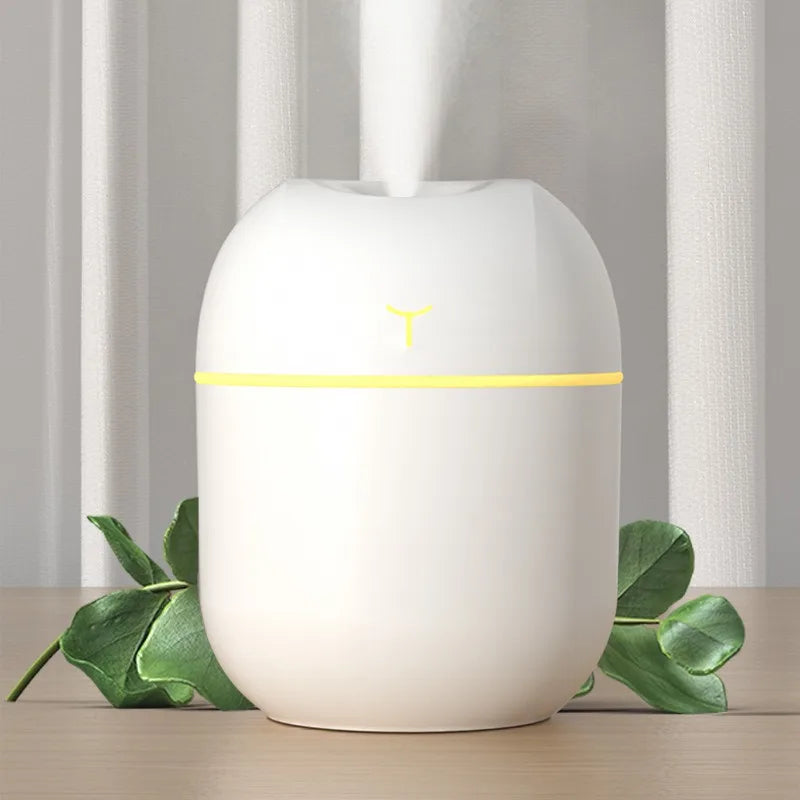 Portable 220ml H2o Mini Cup Sprayer Mist Humidifier Double Wet Aroma Essential Oil Diffuser Car USB air humidifier