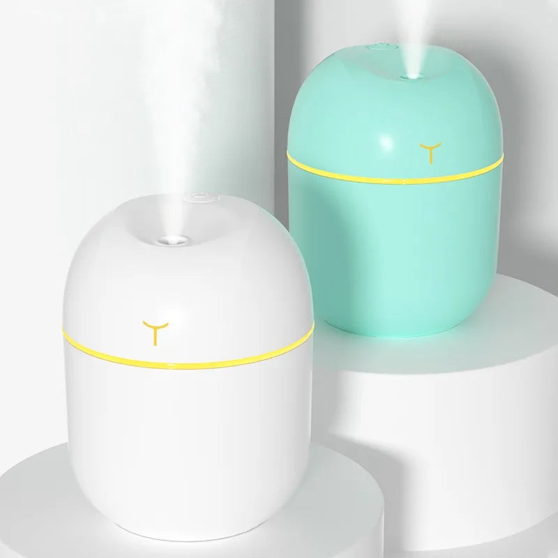 Portable 220ml H2o Mini Cup Sprayer Mist Humidifier Double Wet Aroma Essential Oil Diffuser Car USB air humidifier